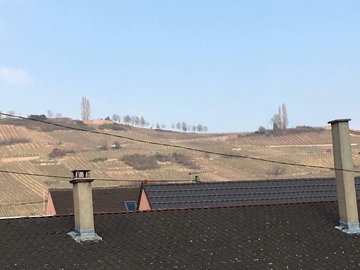 Gite Faubourg Des Pierres Sigolsheim Exterior foto