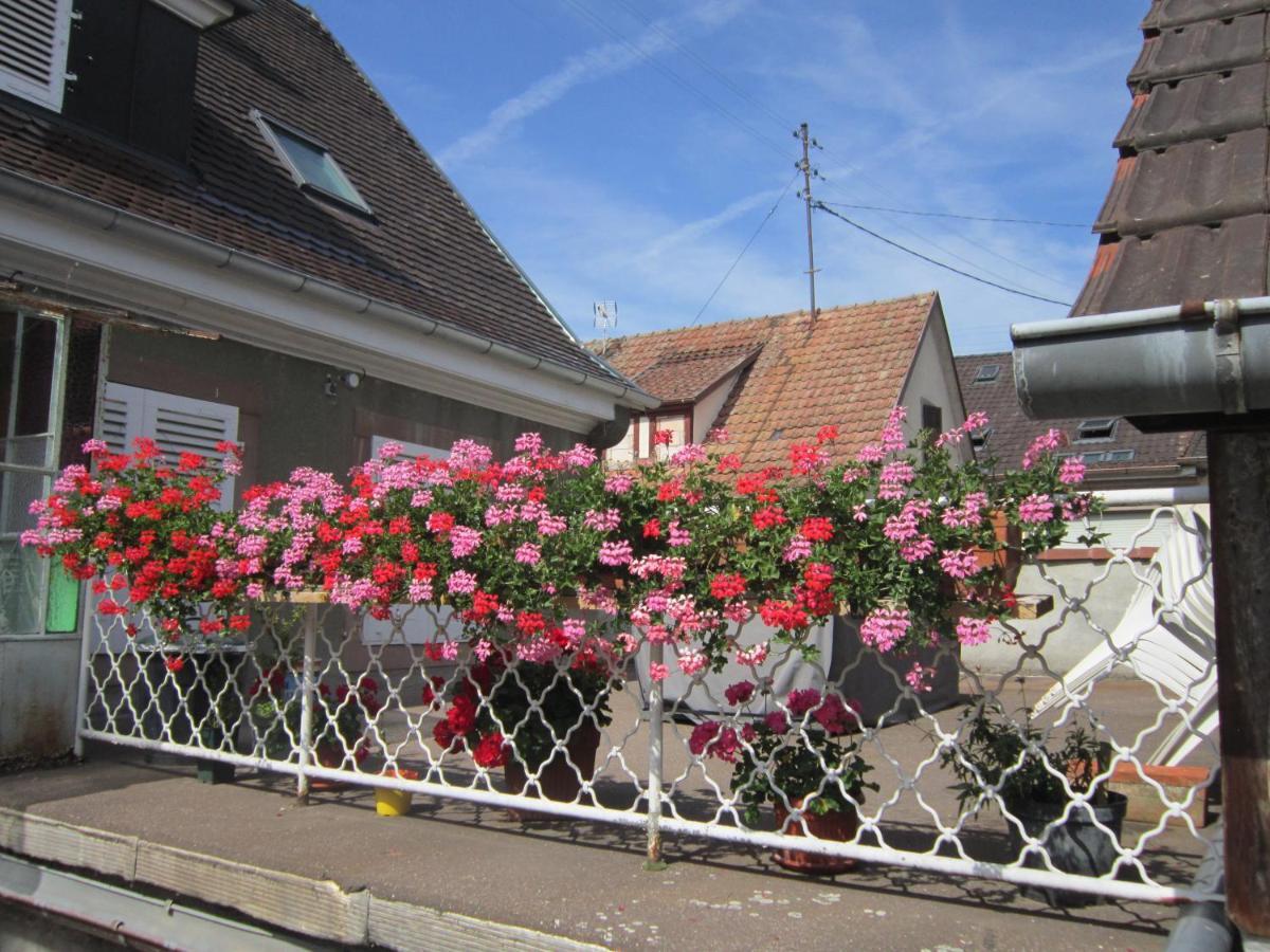 Gite Faubourg Des Pierres Sigolsheim Exterior foto